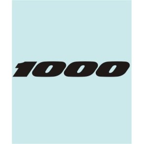 1000 - SU-30281 - 250 X 31 MM.