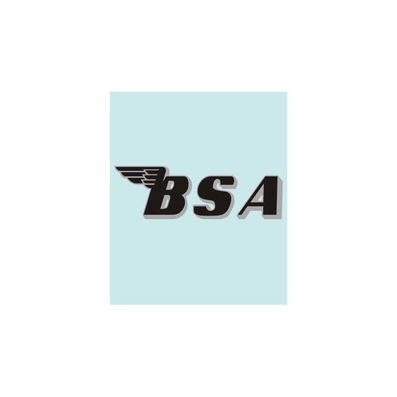 BSA - BS-00006 - 225 X 71 MM.