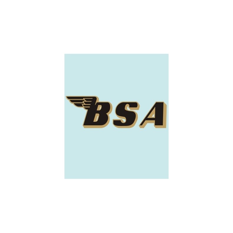 BSA - BS-00007 - 225 X 71 MM.