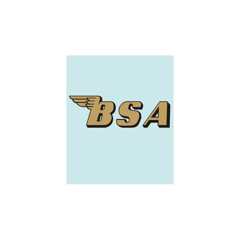 BSA - BS-00008 - 225 X 71 MM.