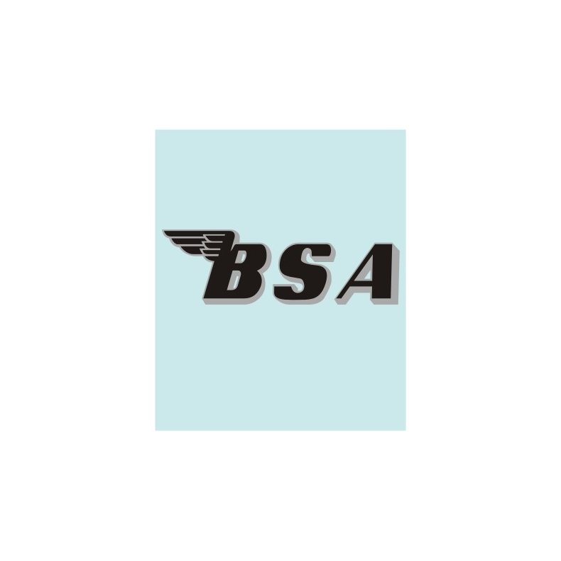 BSA - BS-00018 - 160 X 50 MM.
