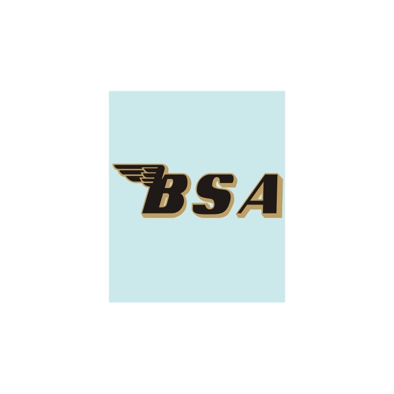 BSA - BS-00019 - 160 X 50 MM.