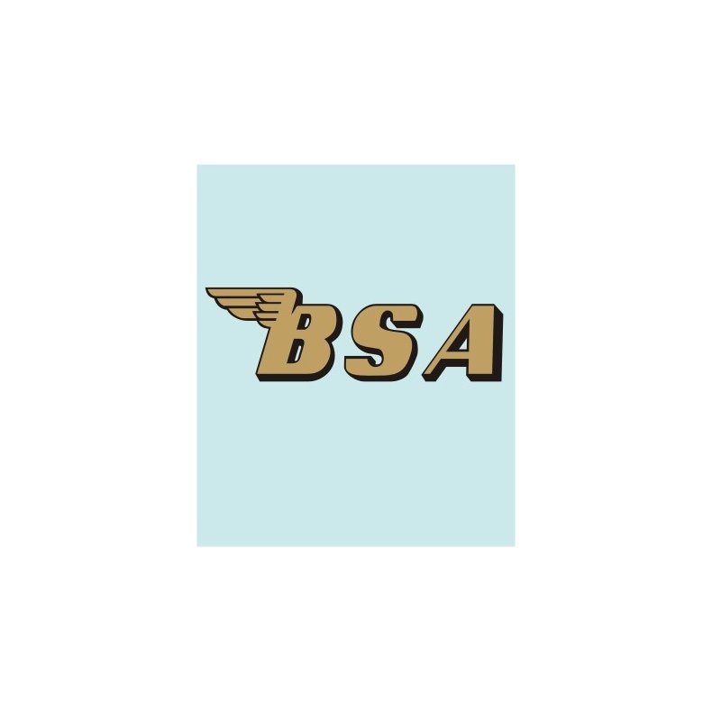 BSA - BS-00020 - 160 X 50 MM.