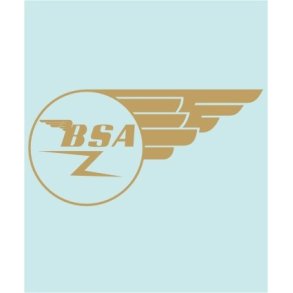 BSA TANK - BS-00009 - 306 X 152 MM.