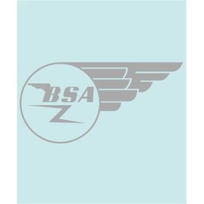 BSA TANK - BS-00010 - 306 X 152 MM.