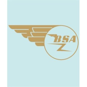 BSA TANK - BS-00013 - 306 X 152 MM.