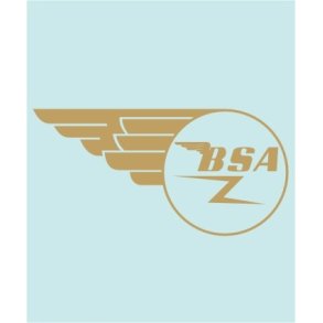 BSA TANK - BS-00025 - 180 X 69 MM.