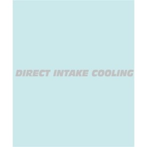 DIRECT - HO-10348 - 260 X15 MM.