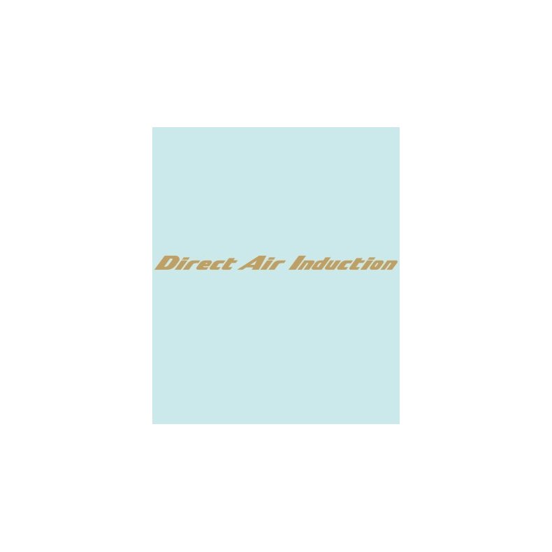 DIRECT - HO-10649 - 210 X13 MM.