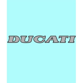DUCATI - DU-00026 - 200 X 22 MM.