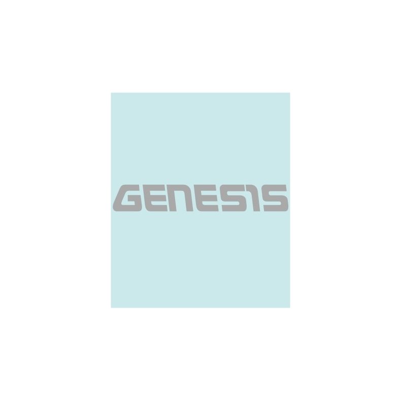 GENERIS - YA-40144 - 158X 24 MM.