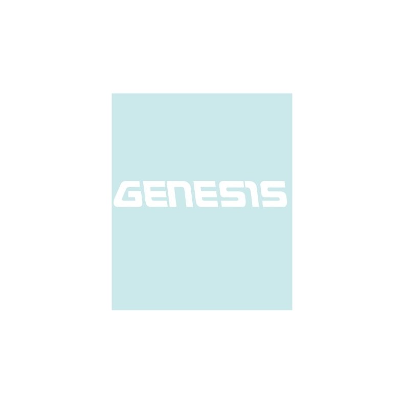 GENESIS - YA-40091 - 188 X 28 MM.