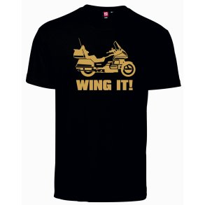 GoldWing - TS-00170