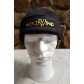 GWH-1002 Flees Hue GoldWing