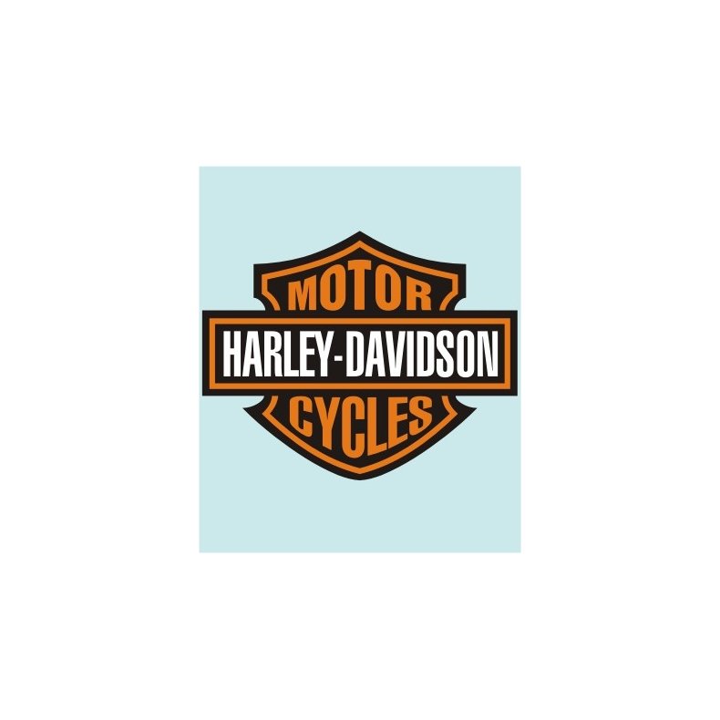 HD-99065 - 70 X 56 MM.