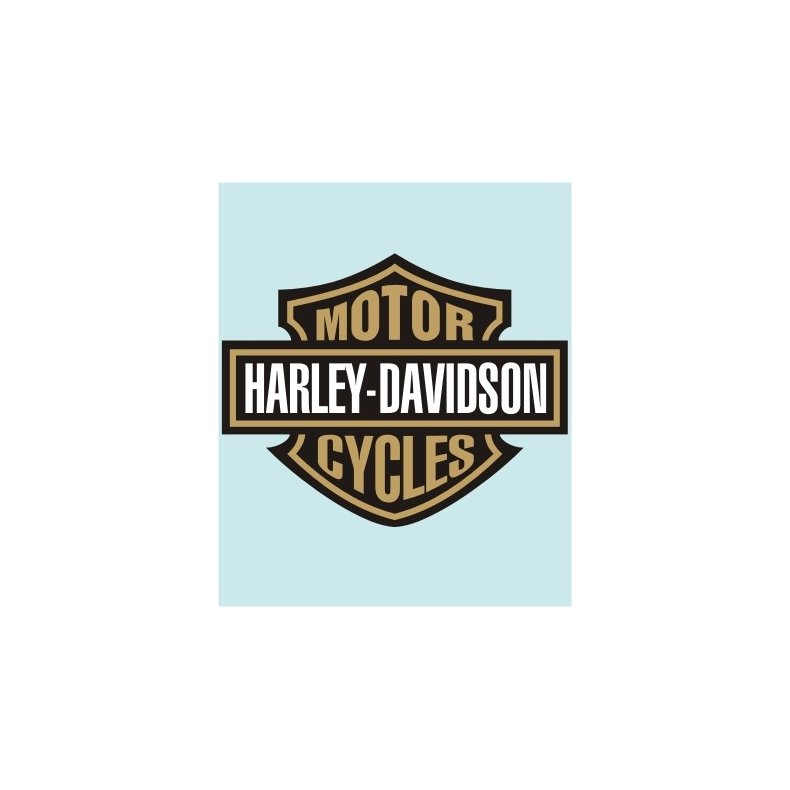 HD-99066 - 70 X 56 MM.