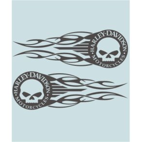 HD-99099 - 350 X 116 MM.