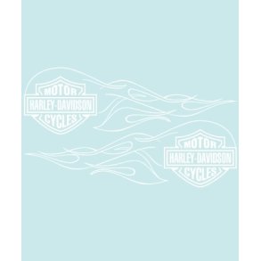 HD-99141 - 316 X 95 MM.