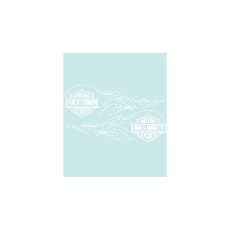 HD-99141 - 316 X 95 MM.