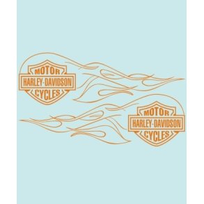 HD-99142 - 316 X 95 MM.