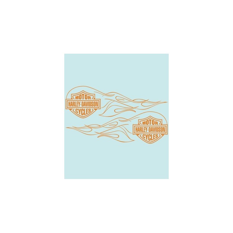 HD-99142 - 316 X 95 MM.