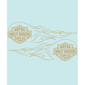 HD-99143 - 316 X 95 MM.