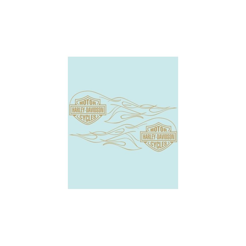 HD-99143 - 316 X 95 MM.