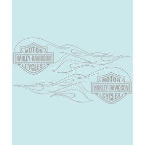 HD-99144 - 316 X 95 MM.