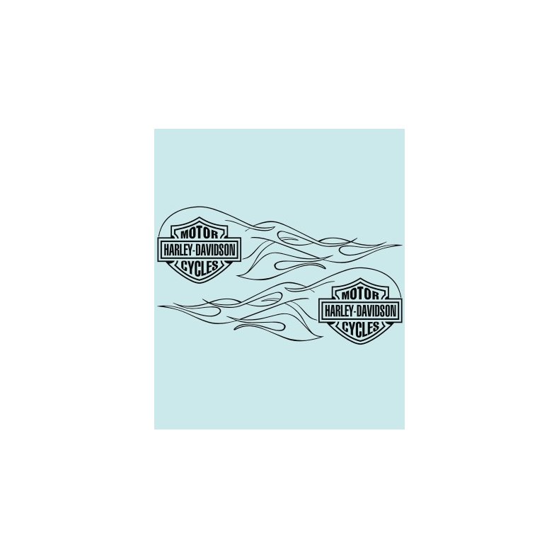 HD-99145 - 316 X 95 MM.