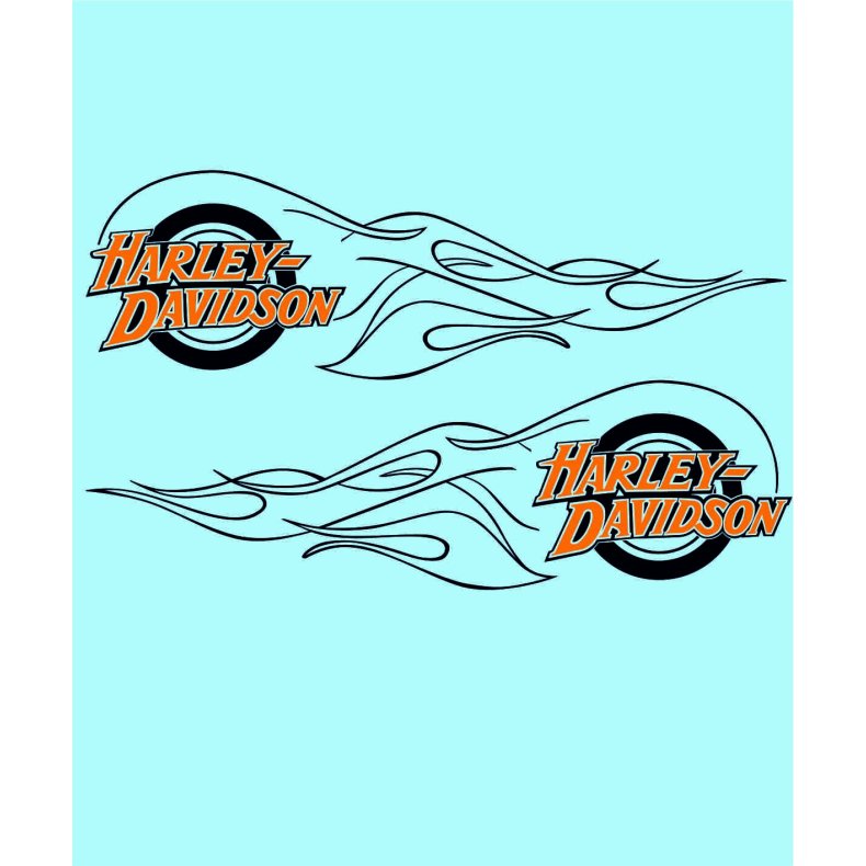 HD-99183 - 318 X 185 MM.