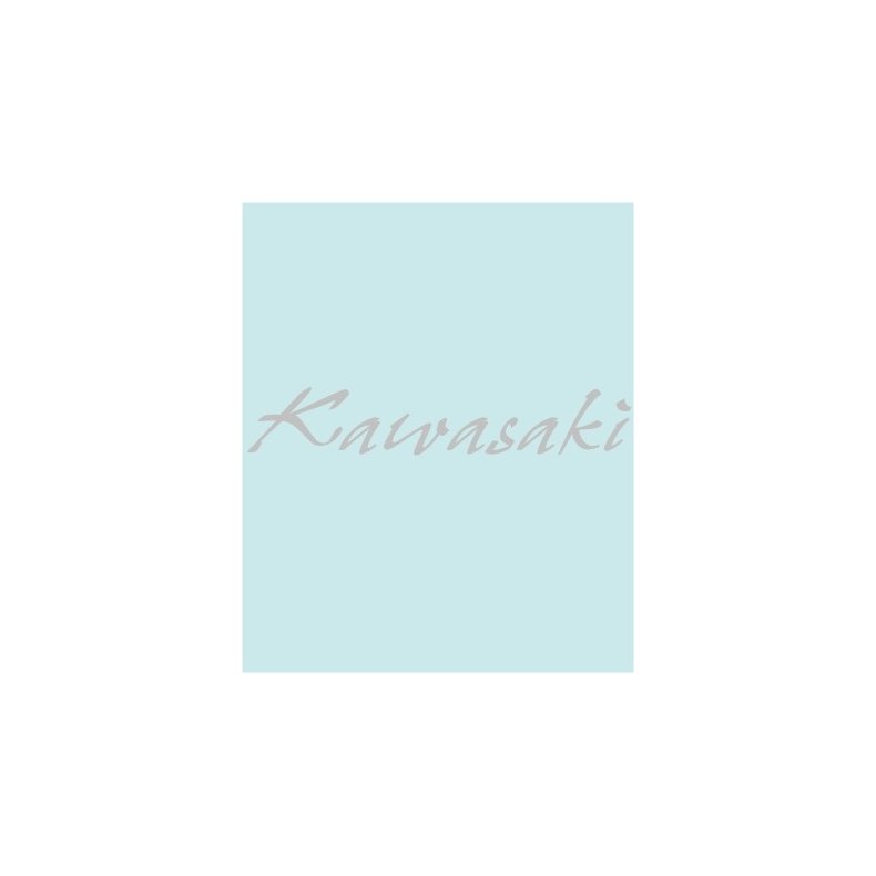 KAWASAKI - KA-20222- 210 X 37 MM.