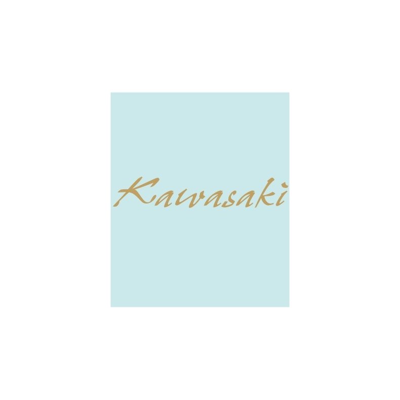 KAWASAKI - KA-20223- 210 X 37 MM.