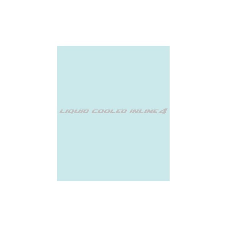 LIQUID - HO-10347 - 275 X13,5 MM.