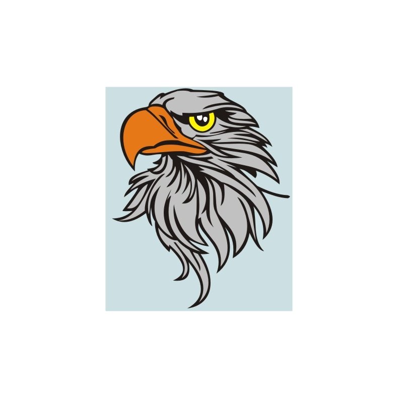 RN-DIV-50031 - 100 X 123 MM.