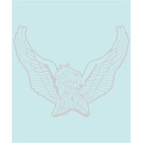 RN - DMC-00010 - 570 X 450 MM.