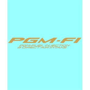 PGM-F1 - HO-10688 - 150 X 21 MM.