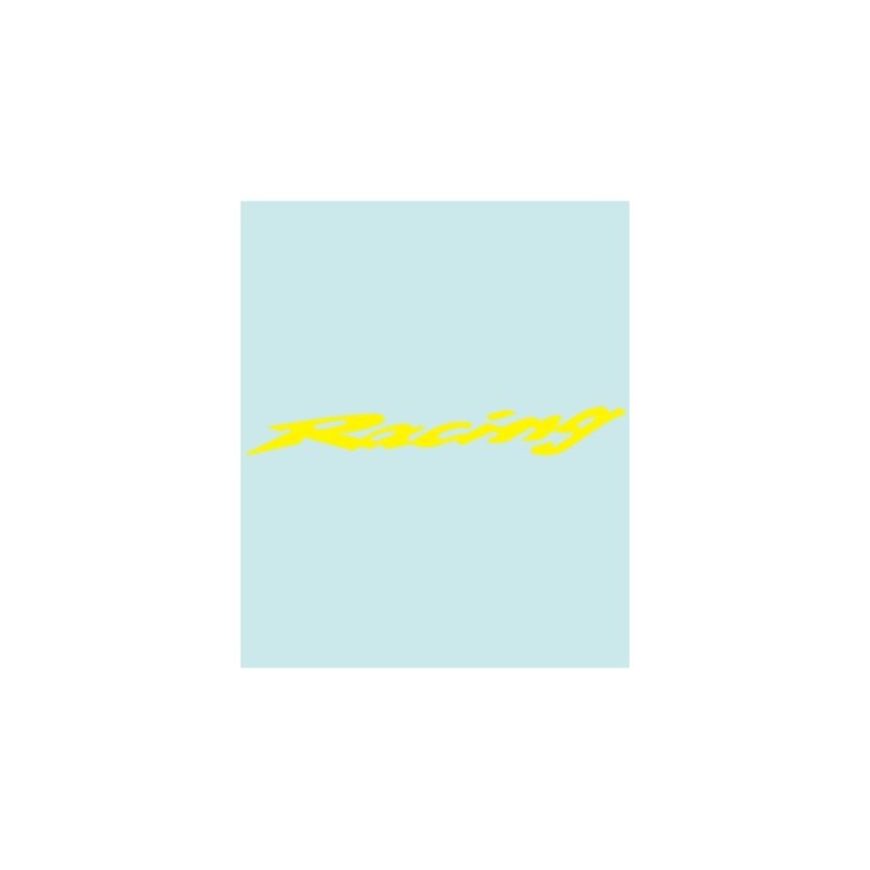 RACING - HO-10229 - 250 X 32 MM.