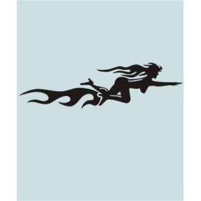 TB2-DIV-50012 - 315 X 89 MM.