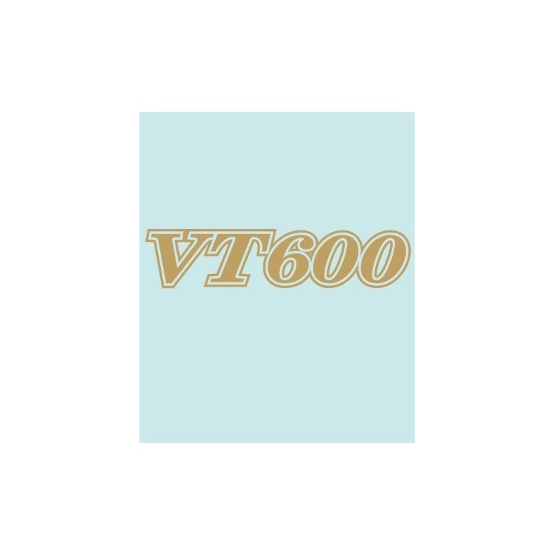 VT600 - HO-10316 - 140 X 31 MM