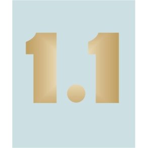 XS1100 - YA-40313 - 37 X 28 MM.