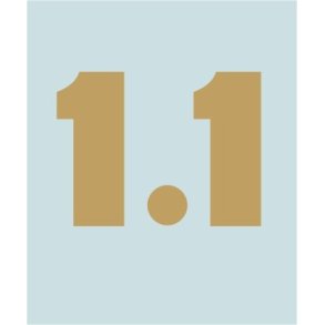 XS1100 - YA-40314 - 37 X 28 MM.