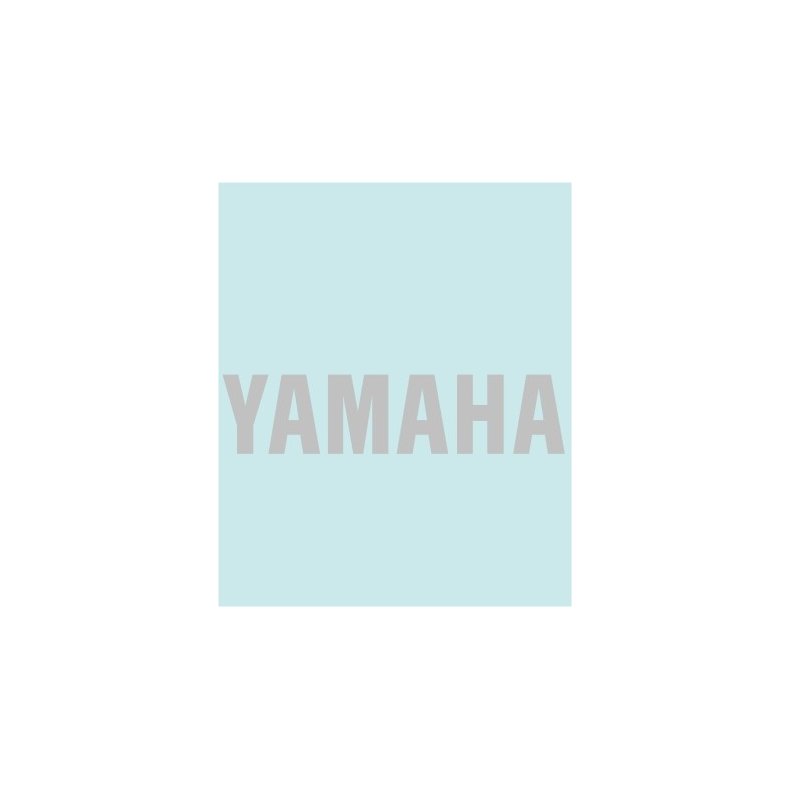 YAMAHA - YA-40023 - 100 X 23 MM.