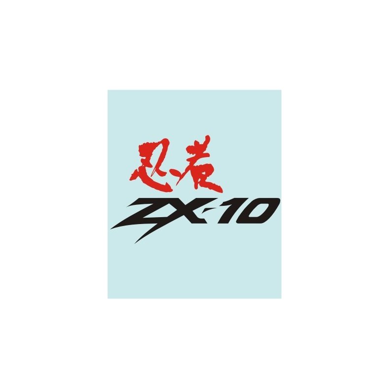 ZX-10 - KA-20264 - 250 X 160 MM.