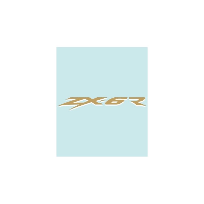 ZX-6R - KA-20286 - 380 X 60 MM.